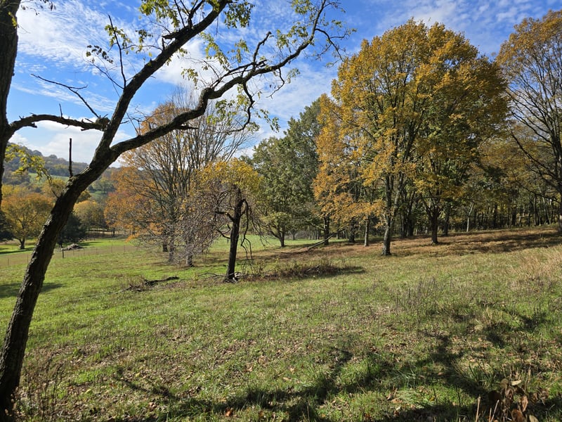 6909 Pulltight Hill Rd, College Grove, TN 37046