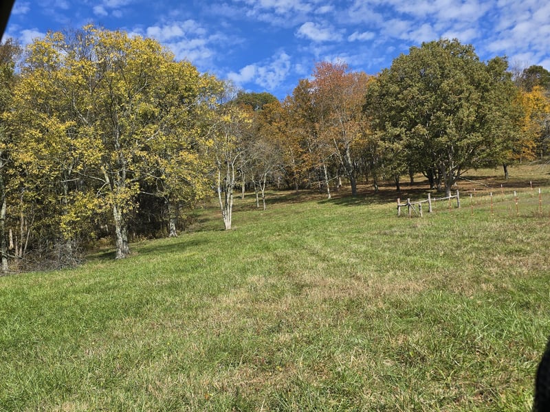 6909 Pulltight Hill Rd, College Grove, TN 37046