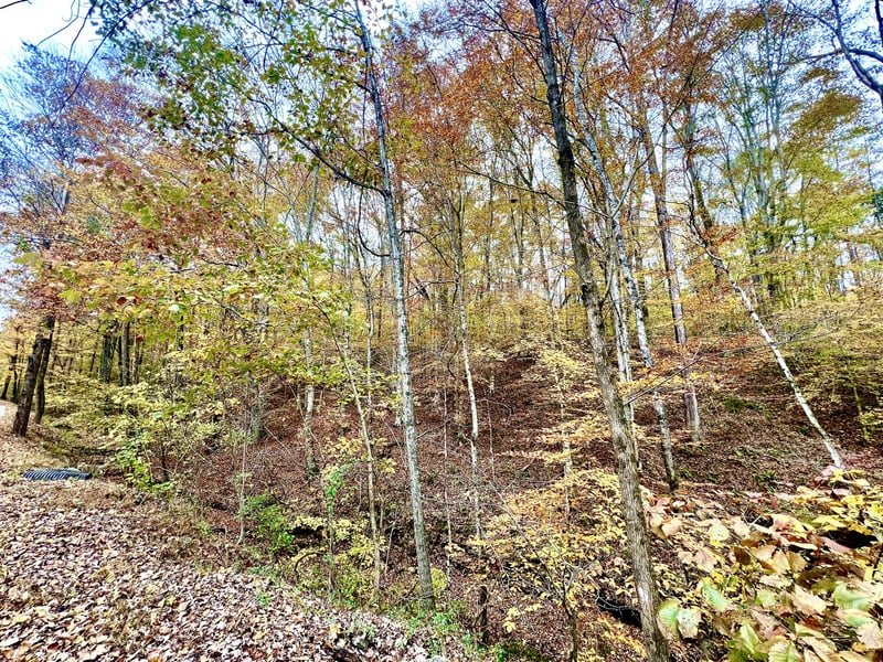 West Garretts Creek Rd, Westmoreland, TN 37186