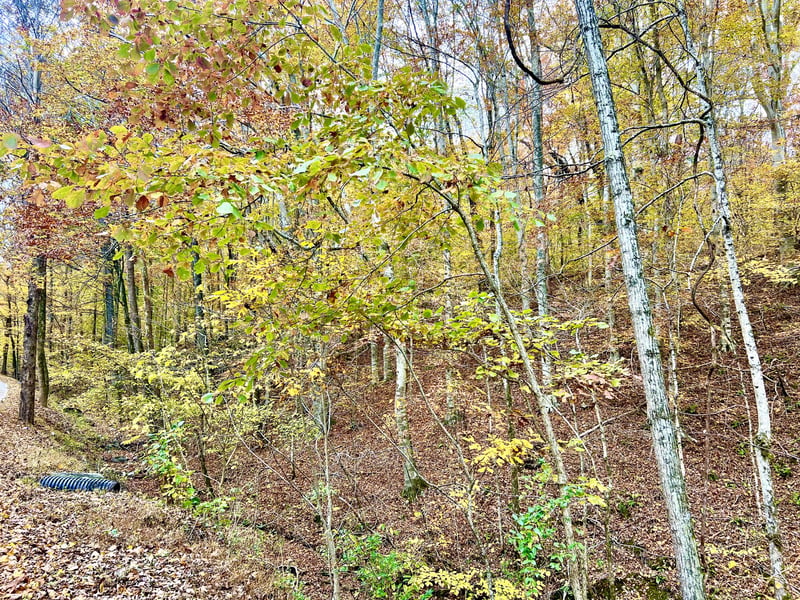 West Garretts Creek Rd, Westmoreland, TN 37186