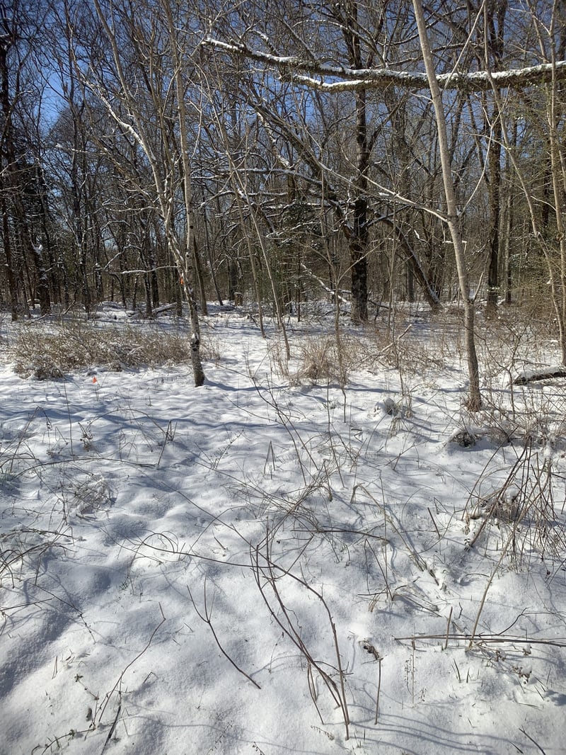 0 Highway 431 , Columbia, TN 38401