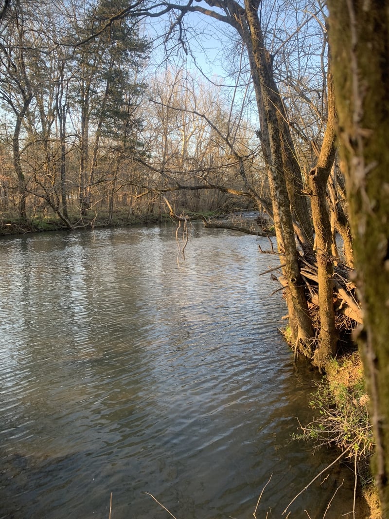 0 Highway 431 , Columbia, TN 38401