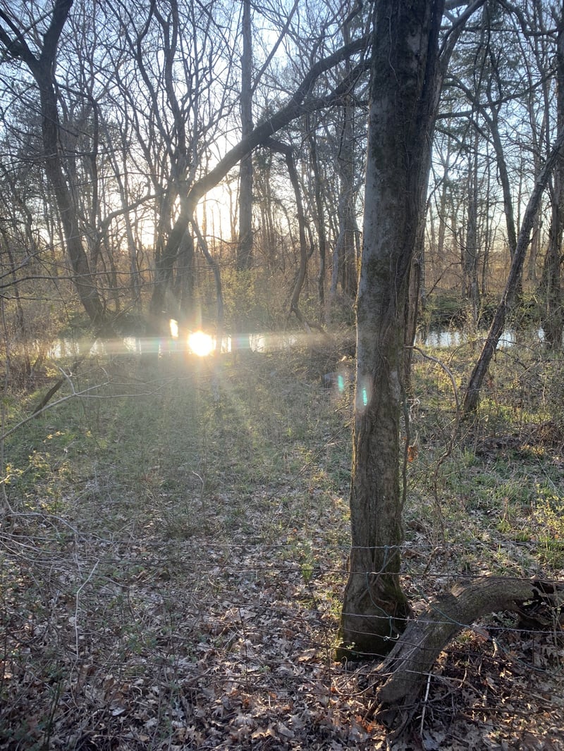 0 Highway 431 , Columbia, TN 38401