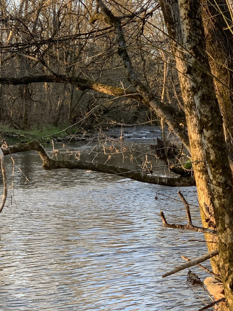 0 Highway 431 , Columbia, TN 38401