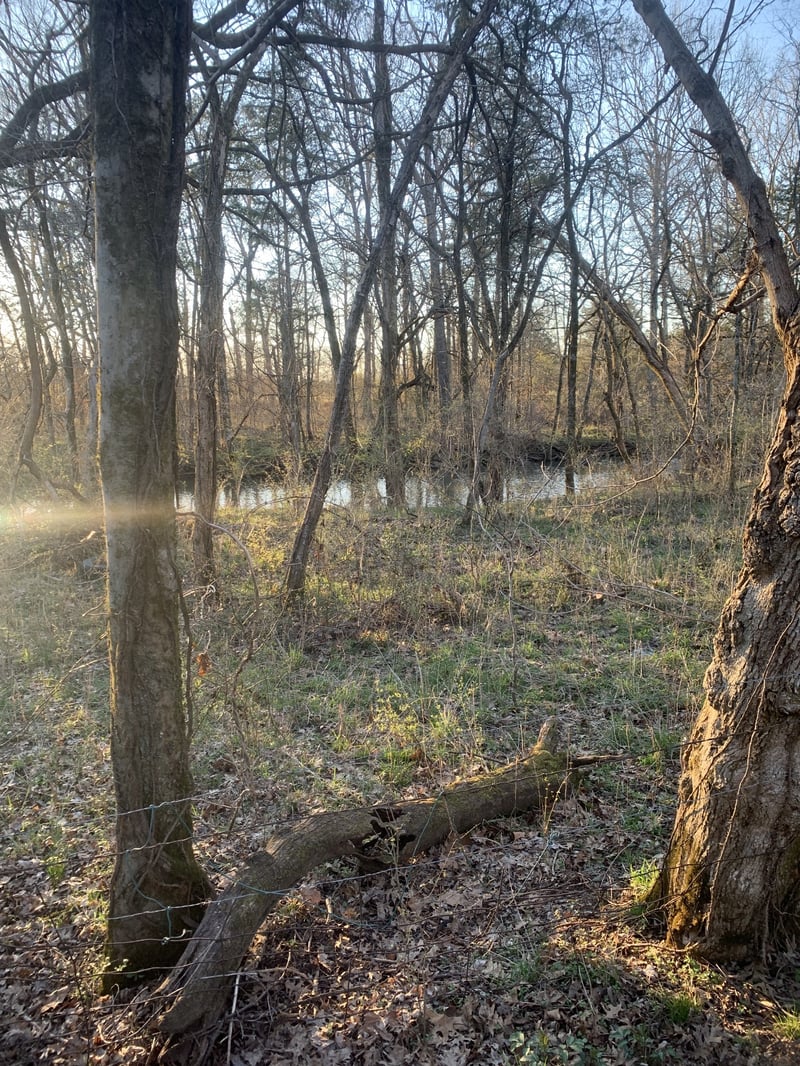 0 Highway 431 , Columbia, TN 38401