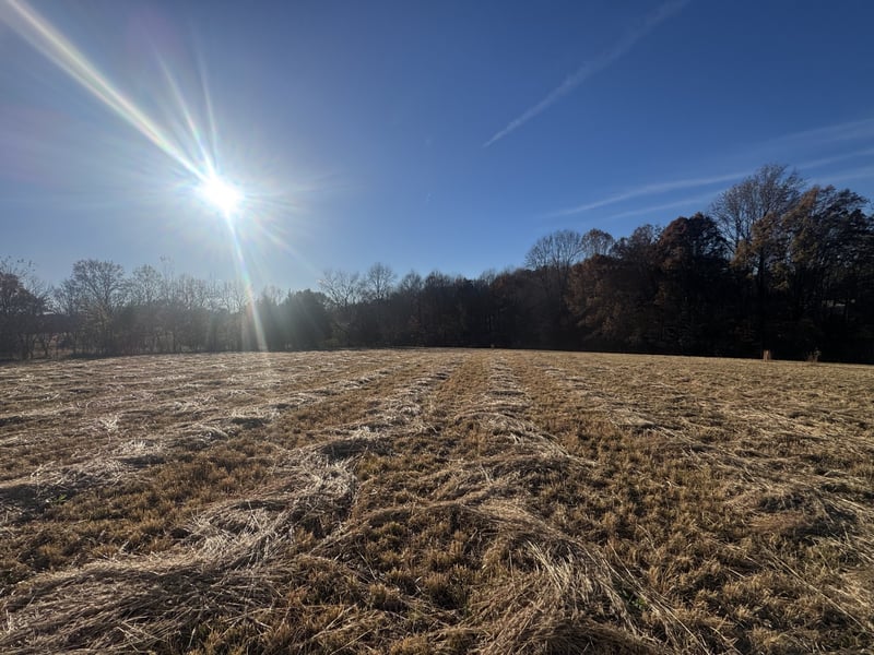 0 Pleasant Grove Rd, Westmoreland, TN 37186