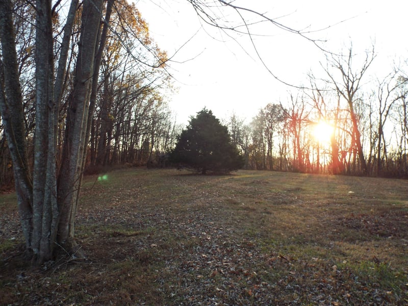 198 Rock House Hollow Pvt Ct, Bethpage, TN 37022