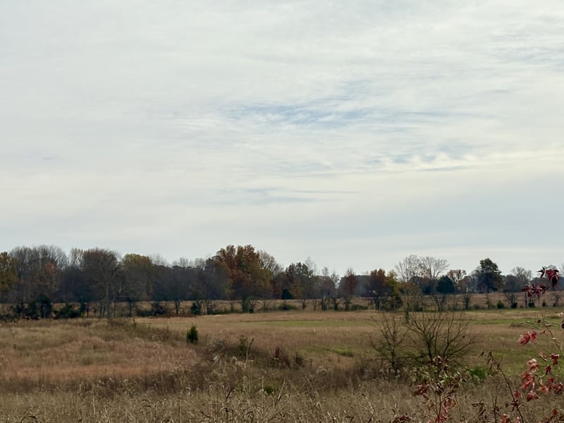 0 Halltown Rd, Portland, TN 37148