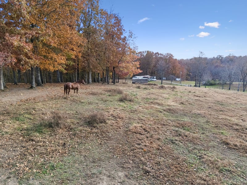 3917 Mobleys Cut Rd, Franklin, TN 37064