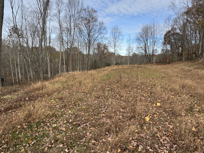 1548 Rabe Coats Rd, Westmoreland, TN 37186