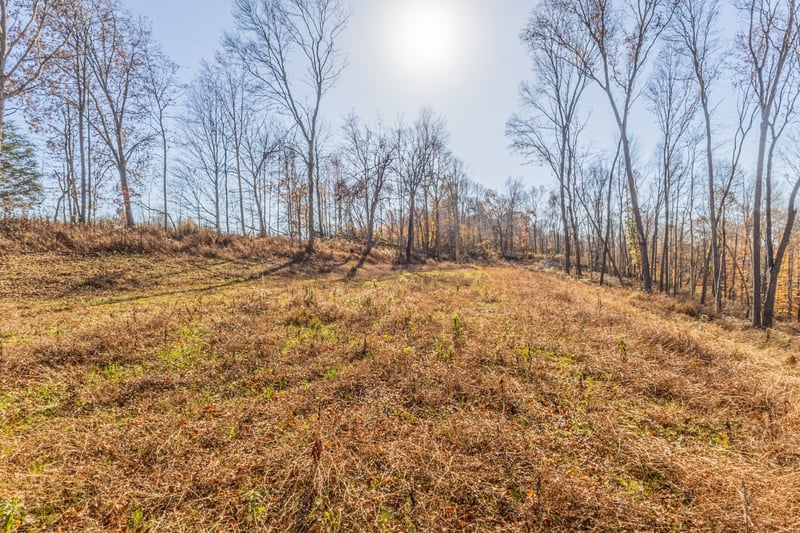 1548 Rabe Coats Rd, Westmoreland, TN 37186