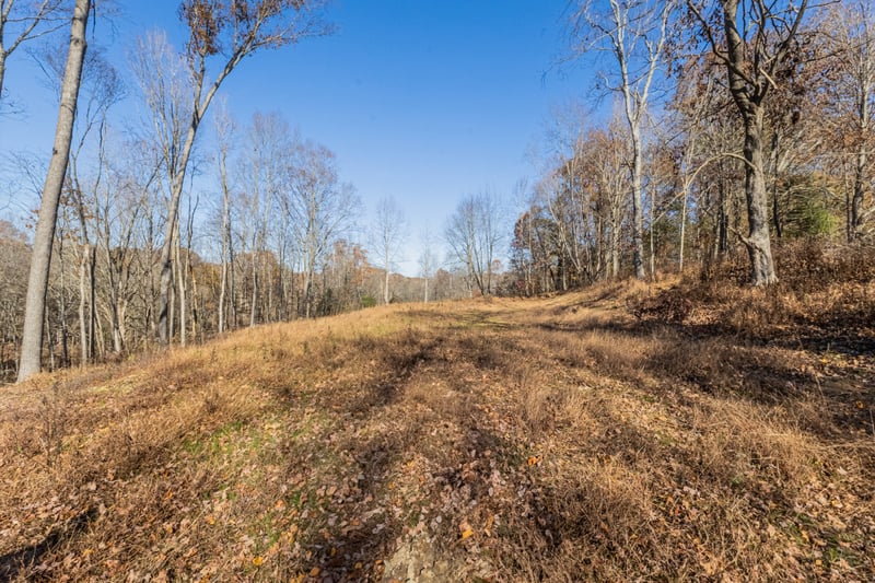 1548 Rabe Coats Rd, Westmoreland, TN 37186