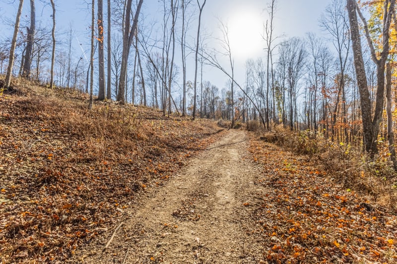 1548 Rabe Coats Rd, Westmoreland, TN 37186