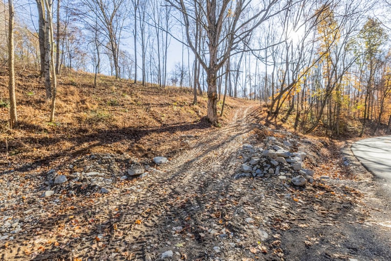 1548 Rabe Coats Rd, Westmoreland, TN 37186