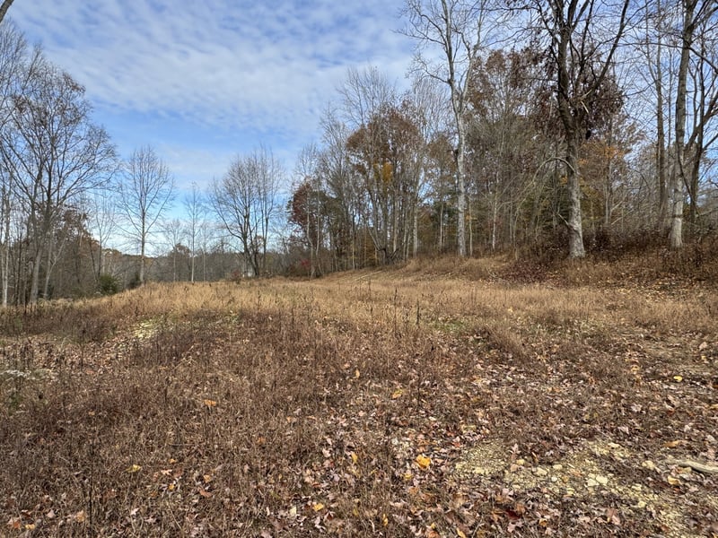 1548 Rabe Coats Rd, Westmoreland, TN 37186