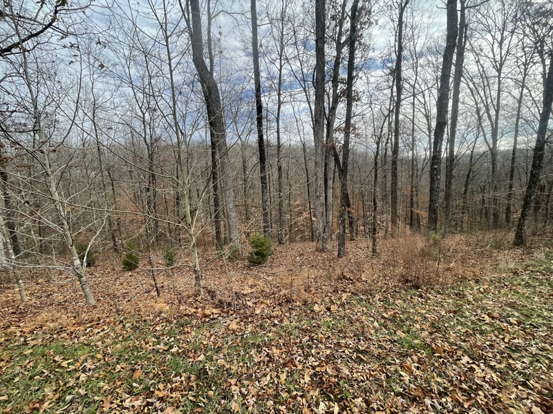 0 Stonebrook Dr, Mc Ewen, TN 37101