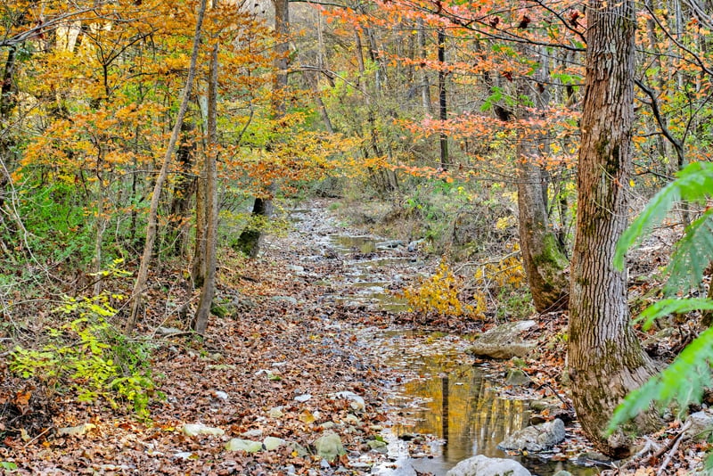 Rock House Hollow Rd, Westmoreland, TN 37186