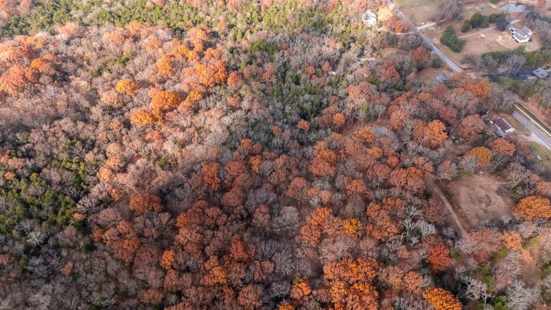 York Rd, Nolensville, TN 37135