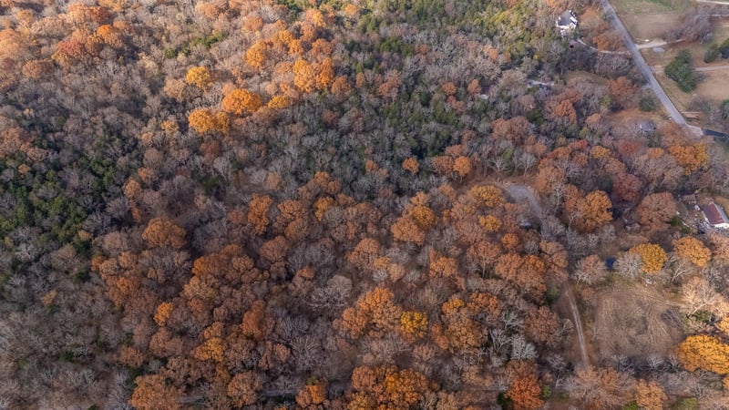 York Rd, Nolensville, TN 37135