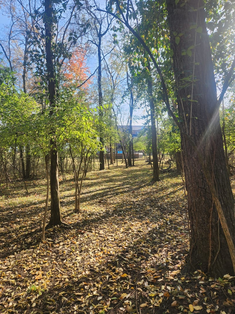 238 Ridgewater Way, Mount Juliet, TN 37122