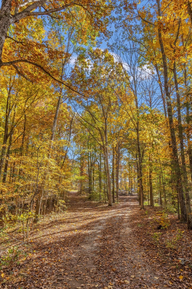 1618 C C Rd, Kingston Springs, TN 37082