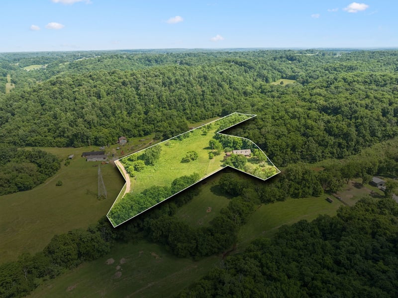 8663 Dog Branch Rd, Mount Pleasant, TN 38474