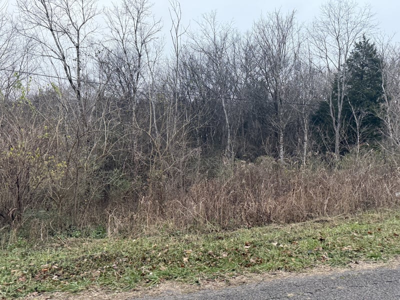 0 Lewis Rd, Santa Fe, TN 38482