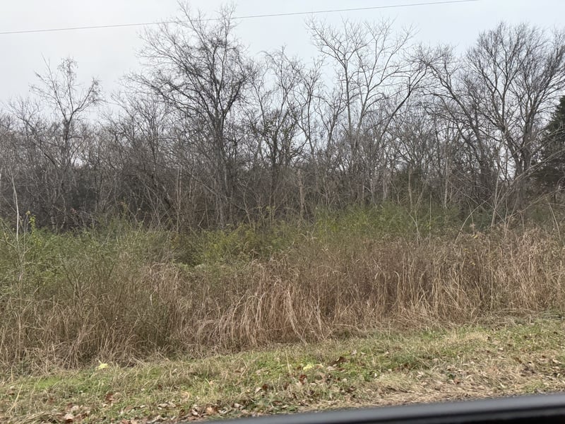 0 Lewis Rd, Santa Fe, TN 38482