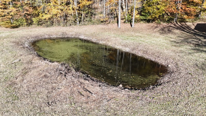 103 Morris Rd, Westmoreland, TN 37186