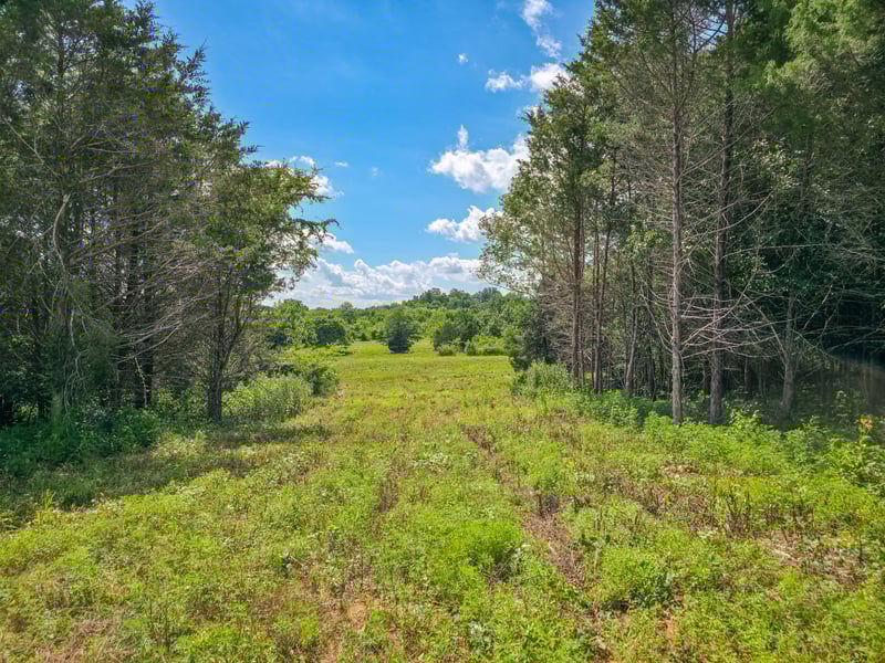 0 Double Branch Rd, Columbia, TN 38401