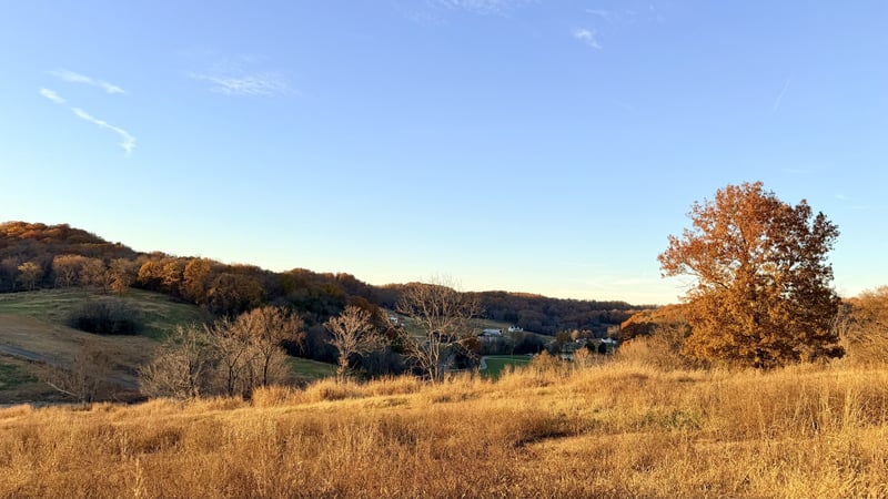 345 Brazier Ln, Gallatin, TN 37066