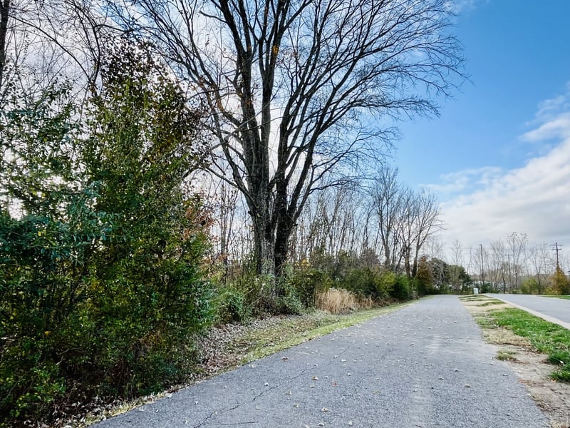 361A Wellows Chase, Spring Hill, TN 37174