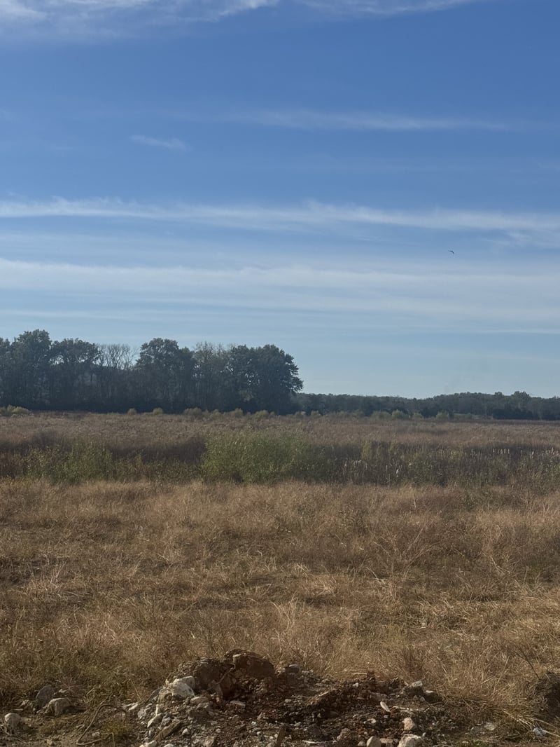 15283 Hwy 99 , Eagleville, TN 37060