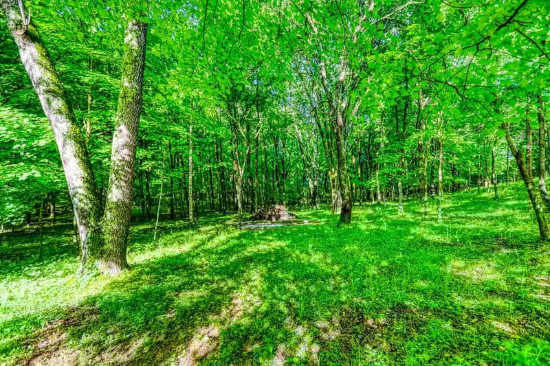 358 Spring Valley Dr, Cottontown, TN 37048