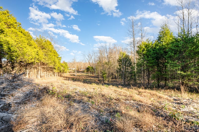 0 Maple Valley Rd, Cumberland Furnace, TN 37051