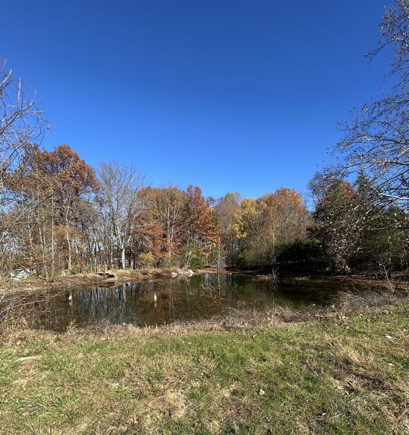 3122 Linwood Rd, Watertown, TN 37184