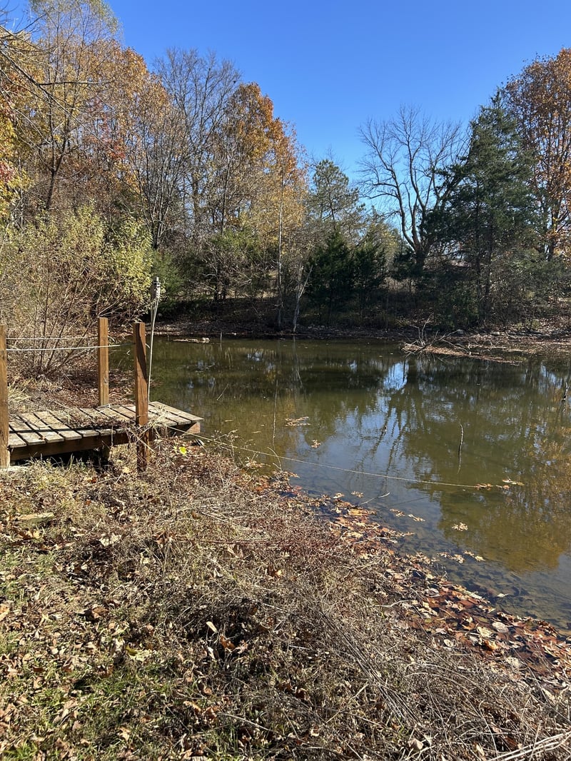 3122 Linwood Rd, Watertown, TN 37184