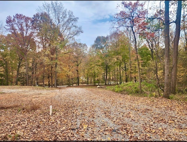 3048 Sweethome Rd, Chapmansboro, TN 37035