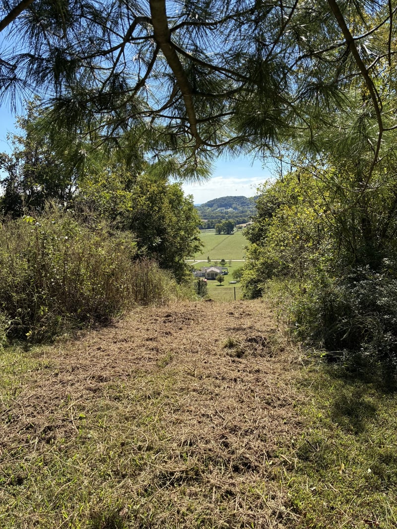 1915 Sedberry Rd, Thompsons Station, TN 37179