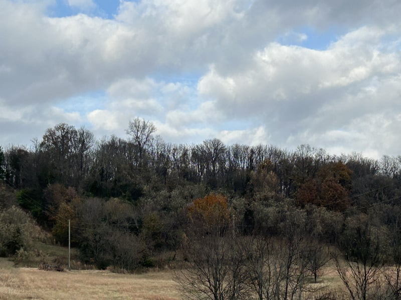 1915 Sedberry Rd, Thompsons Station, TN 37179