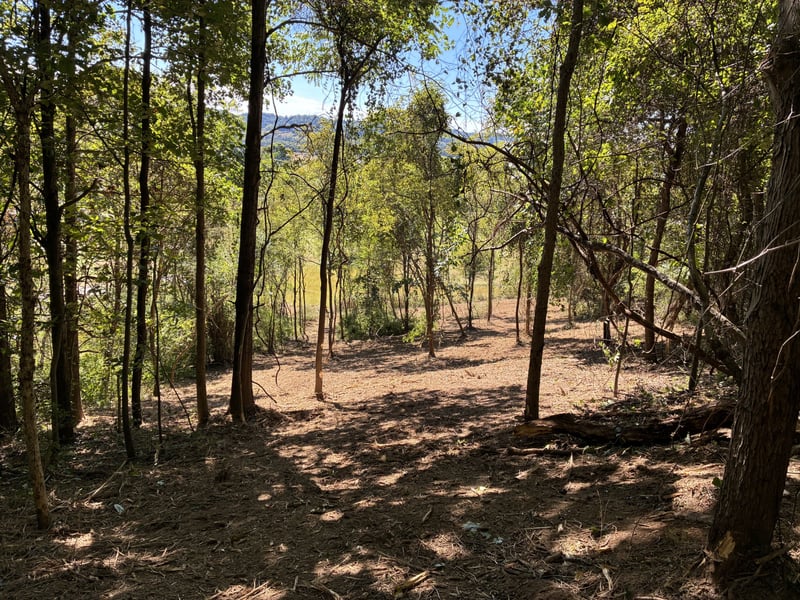 1915 Sedberry Rd, Thompsons Station, TN 37179