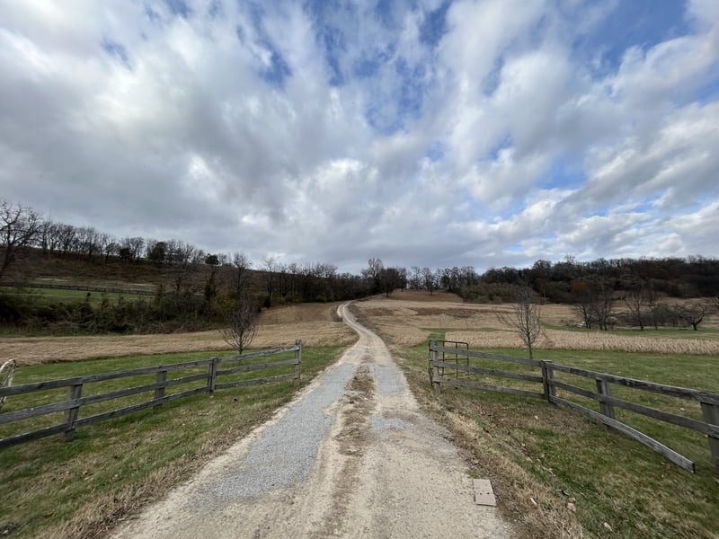 1919 Sedberry Rd, Thompsons Station, TN 37179