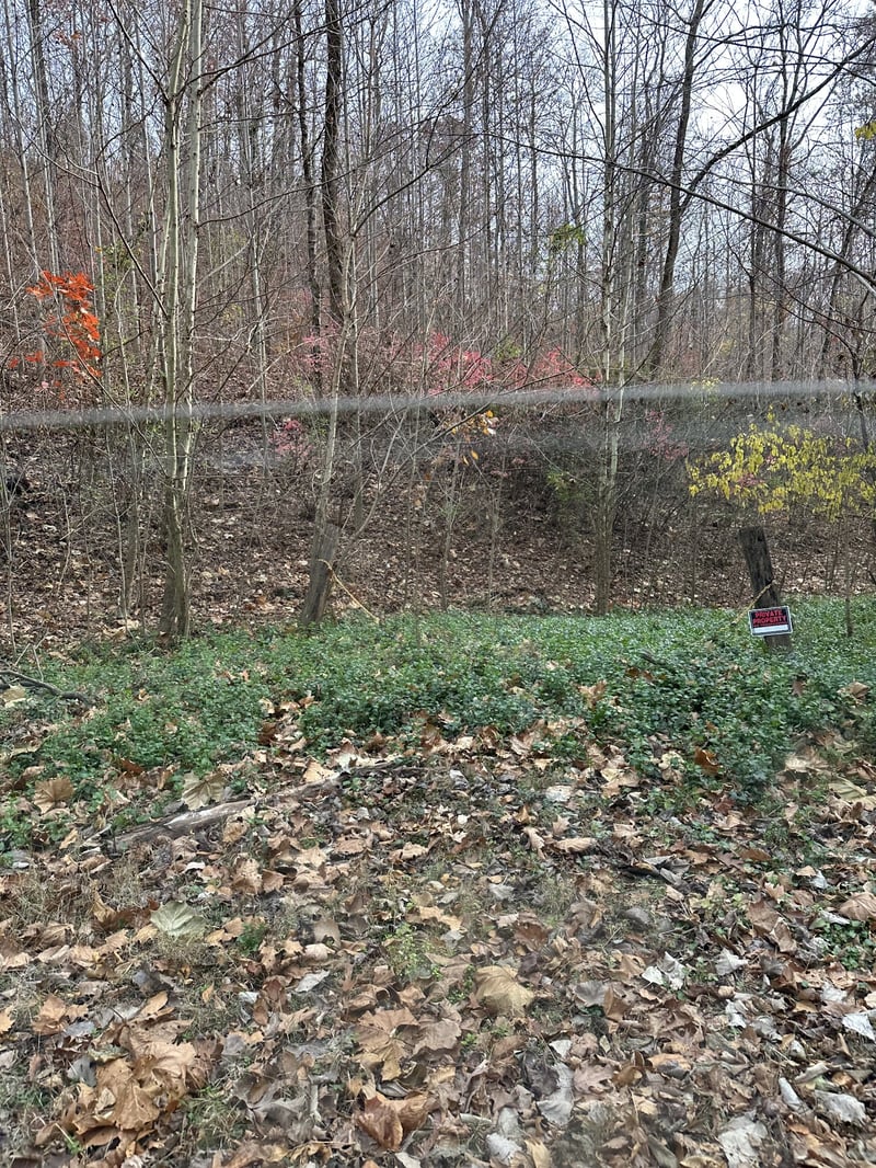 216 Happy Hollow Rd, Goodlettsville, TN 37072