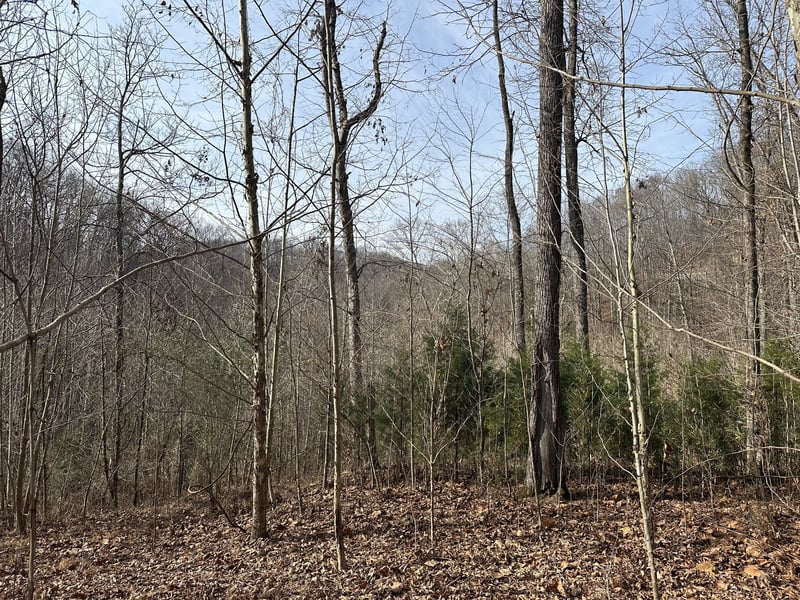 216 Happy Hollow Rd, Goodlettsville, TN 37072