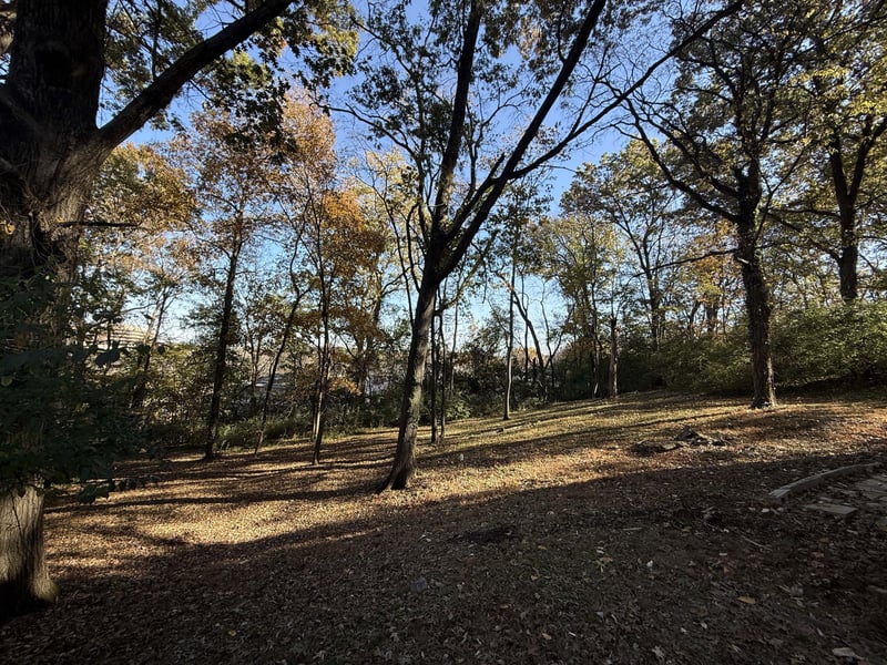 904 Patricia Dr, Nashville, TN 37217