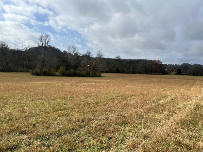 0 Carters Creek Pike, Columbia, TN 38401