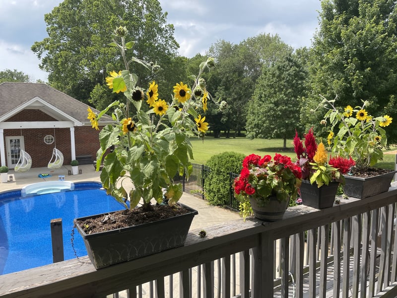 1960 Lasea Rd, Spring Hill, TN 37174