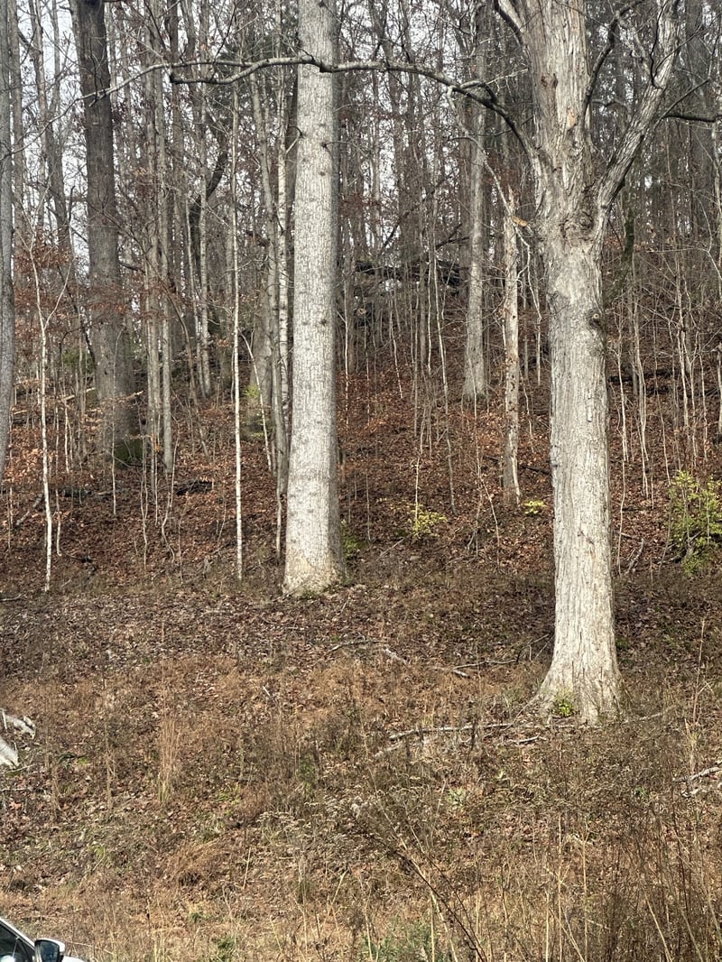 Mccrory Ln, Nashville, TN 37221