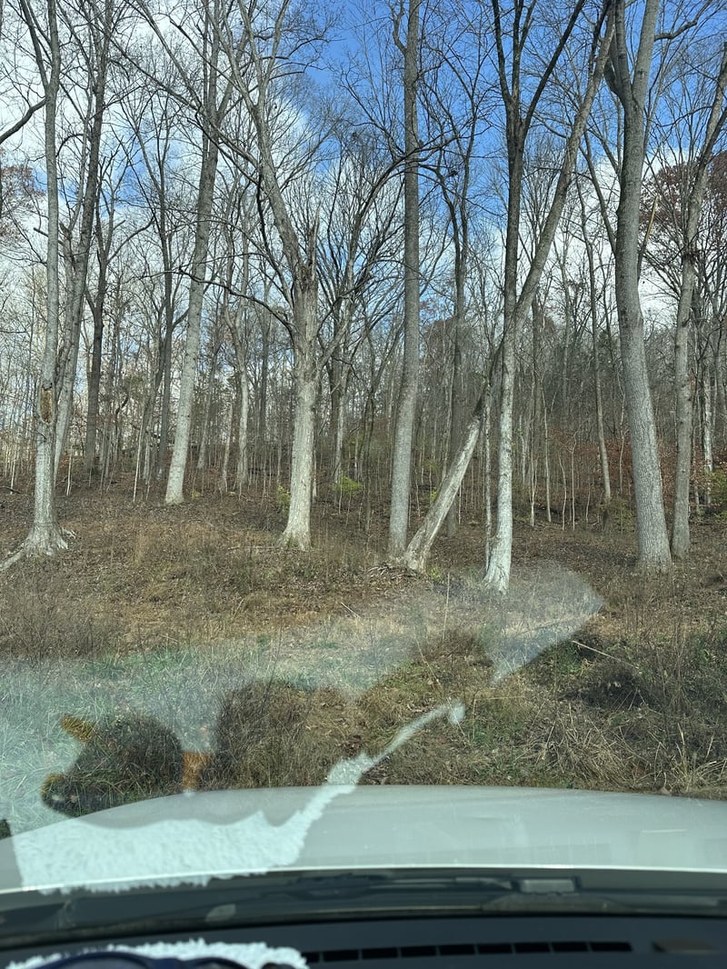 Mccrory Ln, Nashville, TN 37221