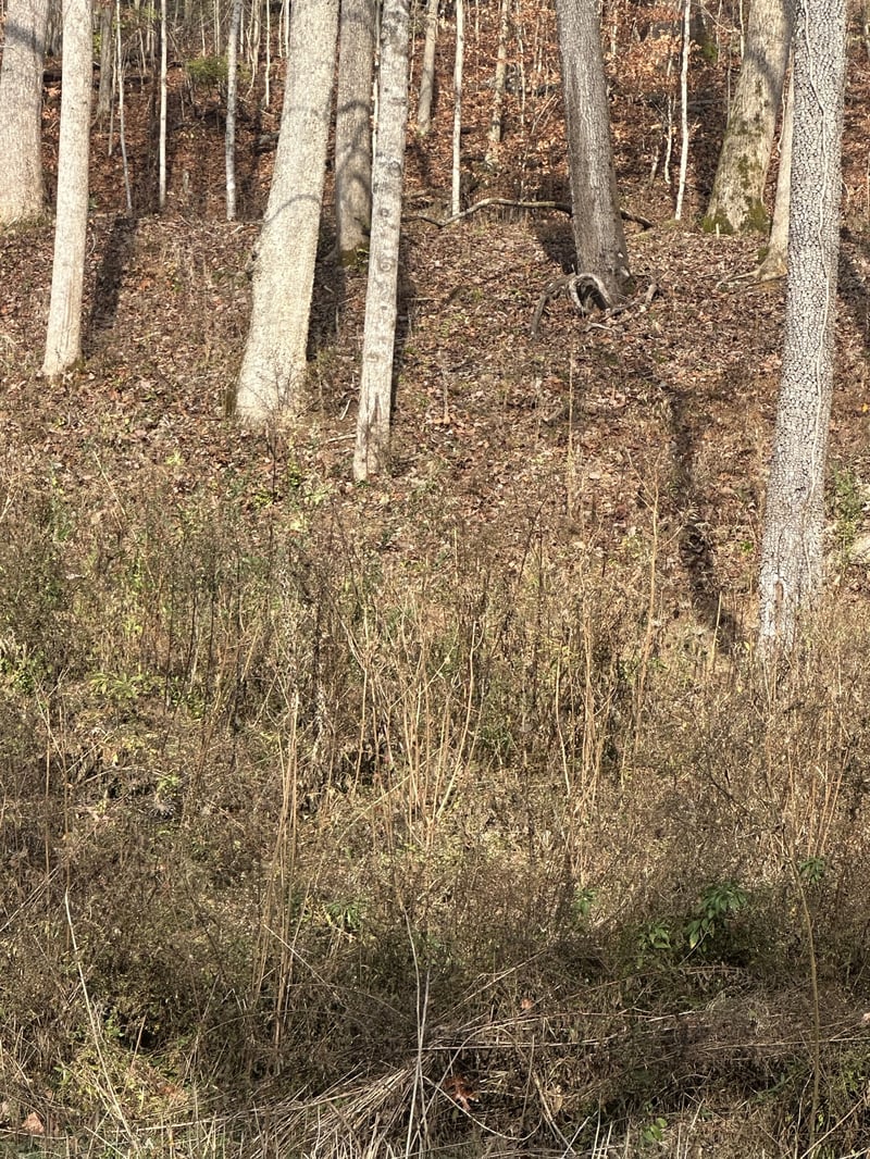 0 Mccrory Ln, Nashville, TN 37221